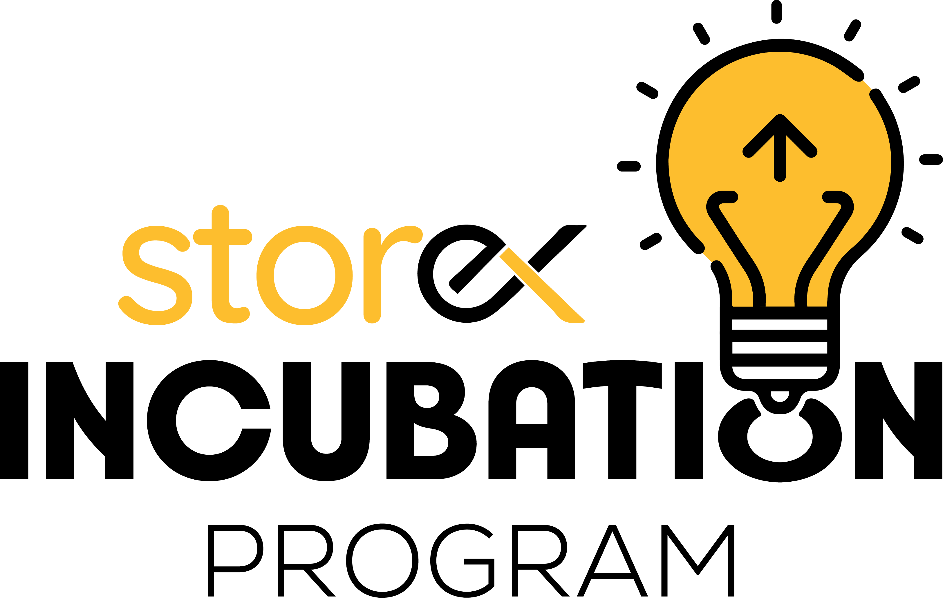 StoreX Incubation Program